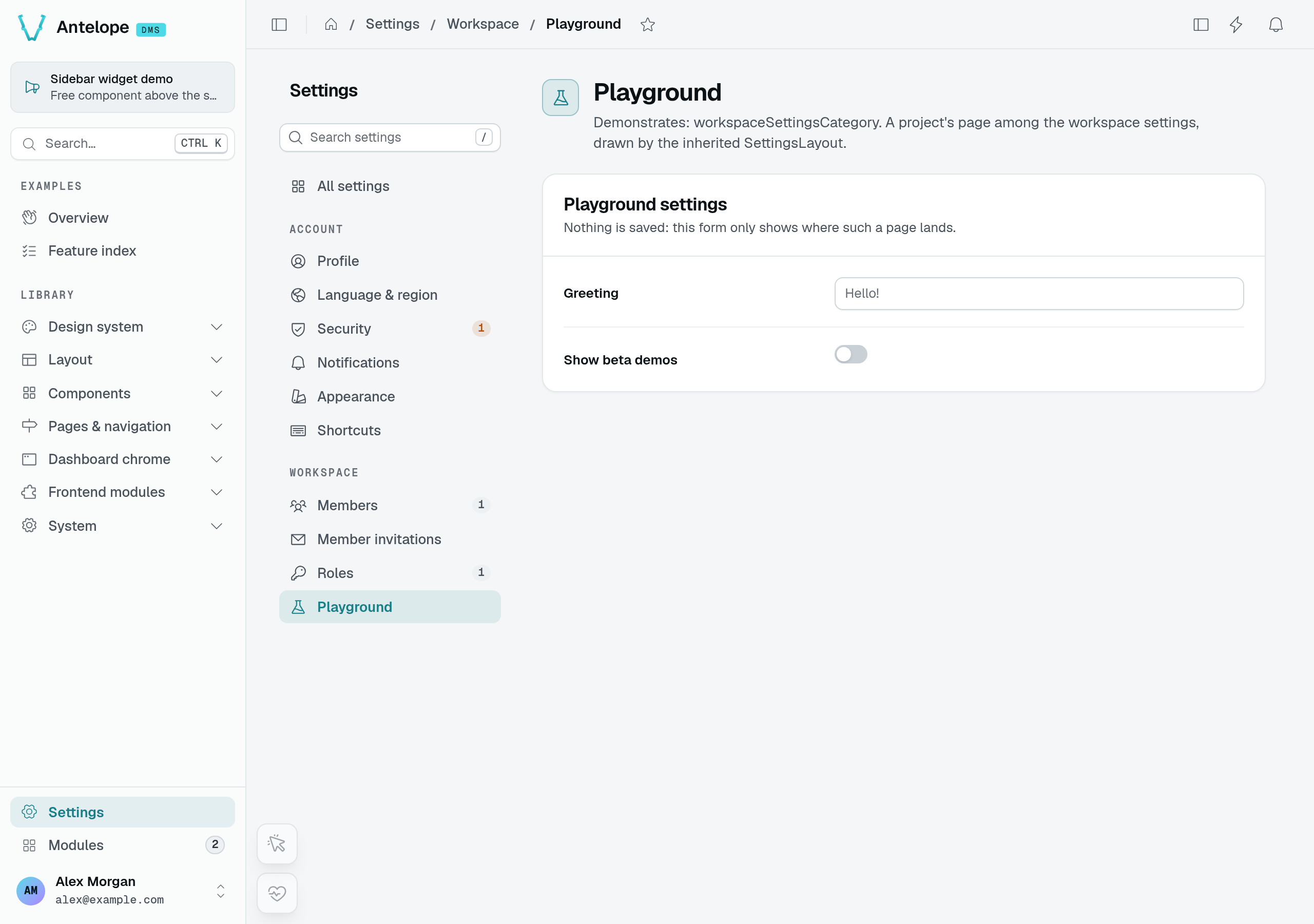 A custom Playground settings page with Greeting and Show beta demos fields, beside the built-in settings navigation